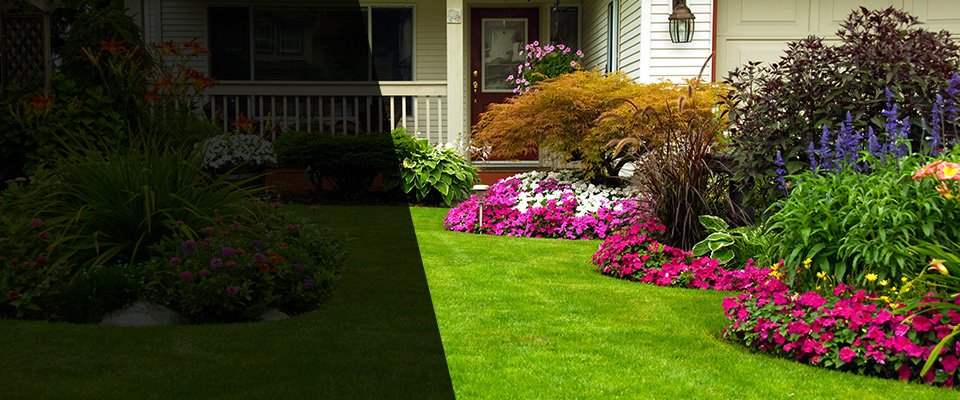 Baden Landscapers